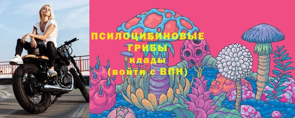 прущая мука Верея