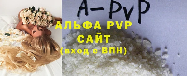 дживик Володарск